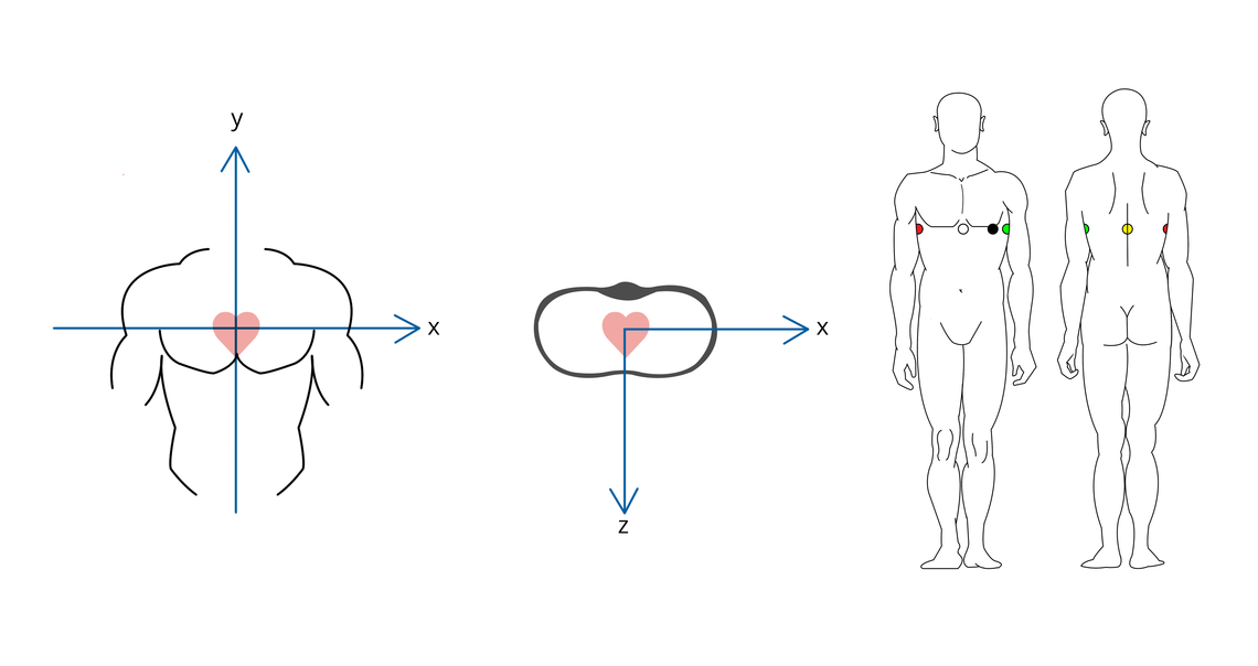 Image of the spatial axes of a vector ECG as developed by Frank