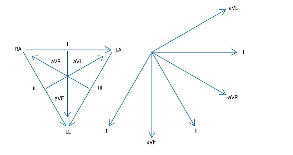 Diagram of Goldberger’s leads in Einthoven’s Triangle and in the Cabrera system